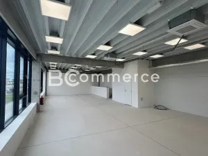 Pronájem obchodního prostoru, Brno, 235 m2
