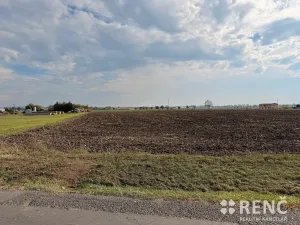 Prodej pozemku pro bydlení, Terezín, 5323 m2