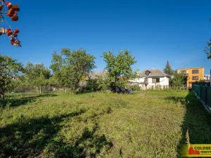 Prodej rodinného domu, Hrušovany nad Jevišovkou, 47 m2
