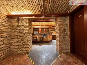 Pronájem restaurace, Chomutov, Blatenská, 130 m2