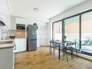 Prodej bytu 2+kk, Praha - Žižkov, Jana Želivského, 46 m2
