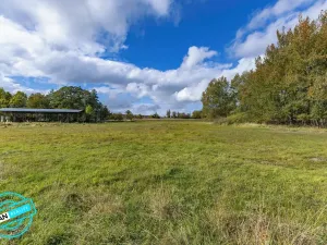 Prodej zemědělské usedlosti, Moravský Beroun, 280 m2
