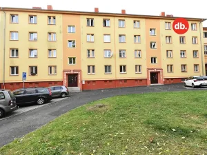 Prodej bytu 2+1, Ostrov, Borecká, 64 m2