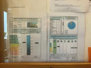 Pronájem bytu 1+kk, Opočno, Podzámčí, 48 m2