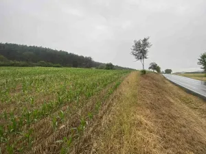 Prodej pole, Rabí - Bojanovice, 22978 m2