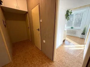 Prodej bytu 1+1, Brno - Lesná, Nejedlého, 38 m2