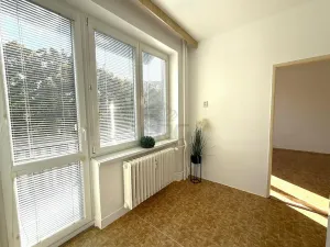 Prodej bytu 1+1, Brno - Lesná, Nejedlého, 38 m2