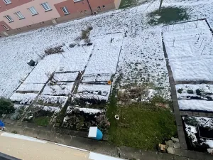Prodej bytu 2+1, Velké Opatovice, Eduarda Ušela, 53 m2