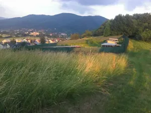 Pronájem louky, Velké Březno, 39851 m2