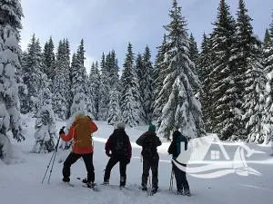Prodej bytu 2+kk, Bansko, Bulharsko, 61 m2