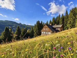 Prodej chalupy, Malá Úpa - Dolní Malá Úpa, 252 m2