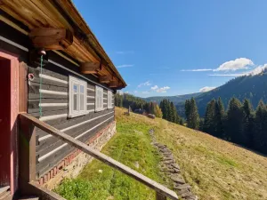 Prodej chalupy, Malá Úpa - Dolní Malá Úpa, 252 m2