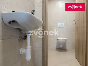 Pronájem výrobních prostor, Lukov, Průmyslová, 96 m2