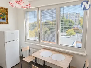Pronájem bytu 2+1, Strakonice, Povážská, 60 m2