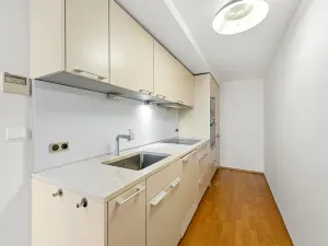 Prodej bytu 3+kk, Praha - Žižkov, Ke kapslovně, 88 m2