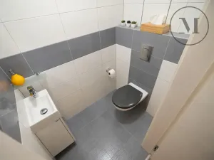 Prodej bytu 3+kk, Borek, Dlouhá, 68 m2