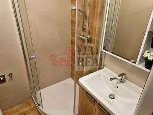 Pronájem bytu 3+1, Kopřivnice, K. Čapka, 61 m2