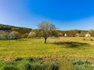 Prodej pozemku pro bydlení, Soběšice, okres klatovy, 5613 m2