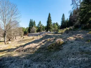 Prodej pozemku pro bydlení, Stožec, okres prachatice, 10137 m2