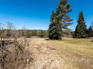 Prodej pozemku pro bydlení, Stožec, okres prachatice, 10137 m2