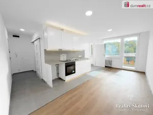 Pronájem bytu 2+kk, Most, Brněnská, 35 m2