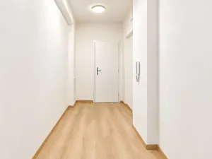 Prodej bytu 1+1, Brno, Došlíkova, 48 m2