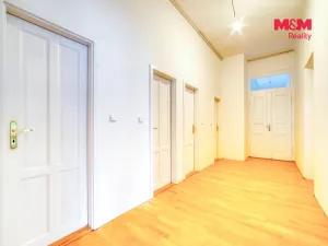 Pronájem bytu 3+kk, Plzeň - Vnitřní Město, Solní, 109 m2