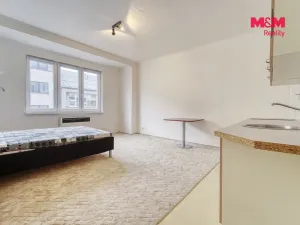 Pronájem bytu 1+kk, Plzeň - Východní Předměstí, Sladkovského, 30 m2