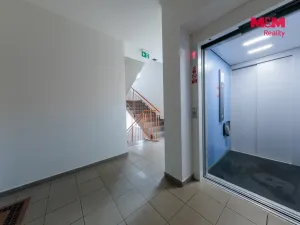 Prodej bytu 2+kk, Nová Role, Svobodova, 39 m2