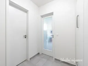 Pronájem bytu 1+kk, Praha - Vysočany, Strnadových, 34 m2