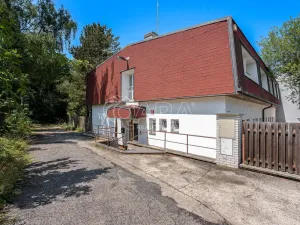 Prodej výrobních prostor, Praha - Pitkovice, V Pitkovičkách, 2971 m2