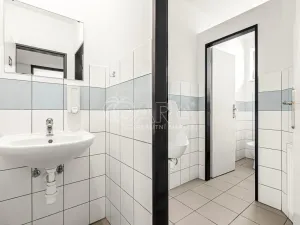 Prodej výrobních prostor, Praha - Pitkovice, V Pitkovičkách, 2971 m2