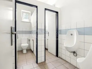Prodej výrobních prostor, Praha - Pitkovice, V Pitkovičkách, 2971 m2