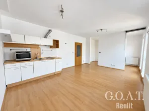 Prodej bytu 1+kk, Plzeň, Karlova, 42 m2