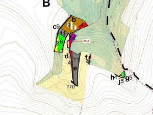 Dražba lesa, Bělá nad Svitavou, 2084 m2