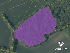 Prodej lesa, Vysoký Újezd, 13707 m2