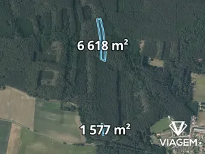Prodej podílu lesa, Libotenice, 2048 m2