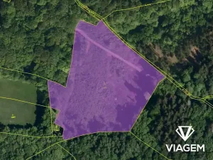 Prodej podílu lesa, Janová, 5802 m2