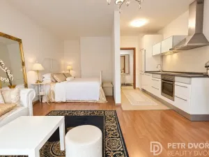 Prodej bytu 1+kk, Praha - Košíře, Plzeňská, 36 m2