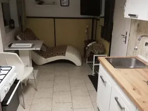 Pronájem bytu 1+1, Brno, V aleji, 40 m2