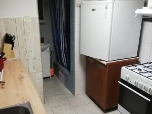 Pronájem bytu 1+1, Brno, V aleji, 40 m2