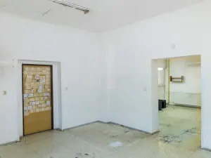 Prodej obchodního prostoru, Úpice, Palackého, 836 m2
