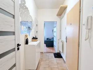 Prodej bytu 2+1, Praha - Strašnice, Krupská, 46 m2