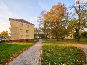 Prodej bytu 2+1, Ostrov, Palackého, 74 m2