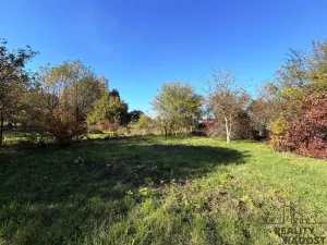 Prodej zahrady, Havířov, Luční, 933 m2