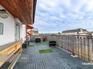 Prodej bytu 2+1, Plzeň - Jižní Předměstí, Lukavická, 117 m2