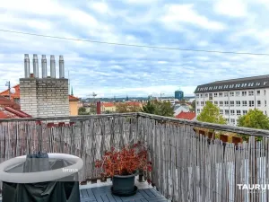 Prodej bytu 2+1, Plzeň - Jižní Předměstí, Lukavická, 117 m2