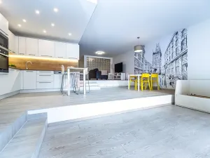 Prodej bytu 1+kk, Praha - Karlín, U Mlýnského kanálu, 80 m2
