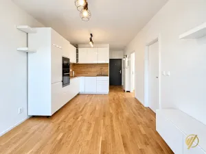 Pronájem bytu 3+kk, Mladá Boleslav, Na Radouči, 46 m2