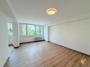 Prodej bytu 2+1, Mladá Boleslav, Purkyňova, 60 m2